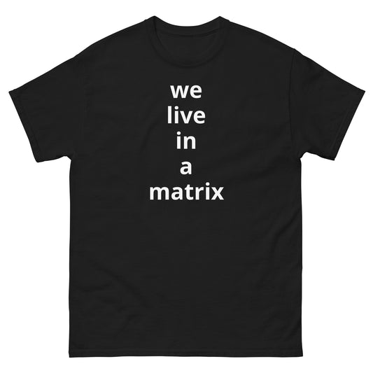 we live in a matrix - Lit Shirts Only